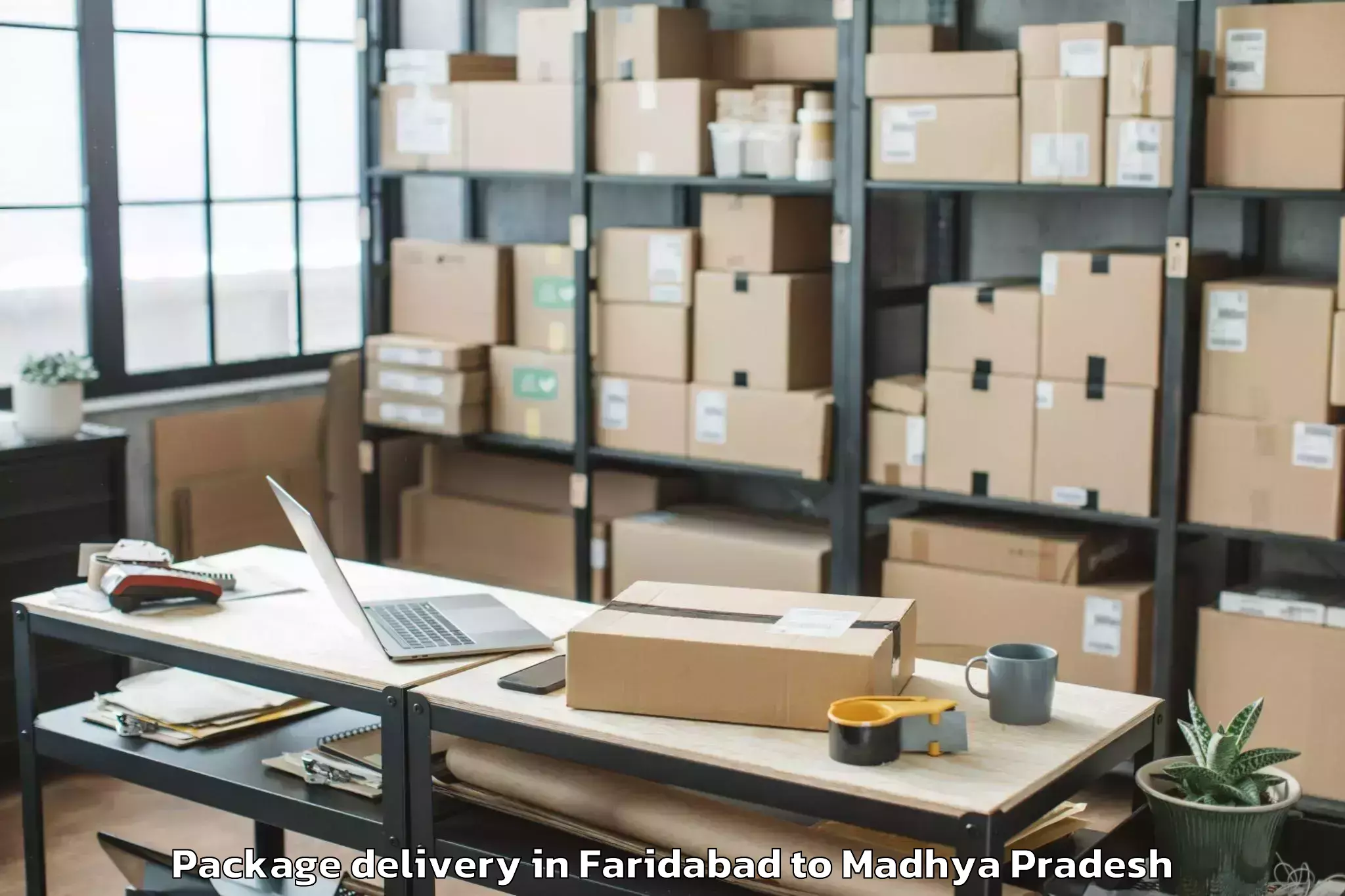 Quality Faridabad to Bijawar Package Delivery